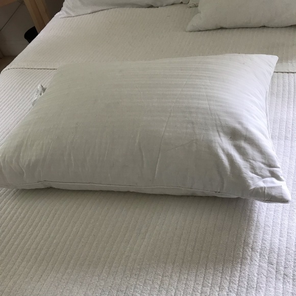 downluxe Other - down pillow queen size nwot
